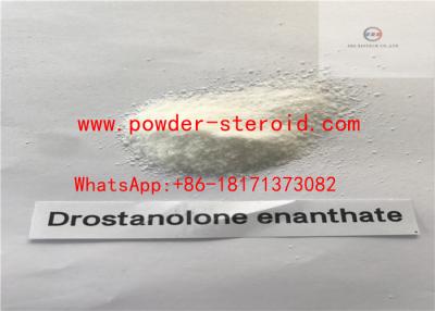 China Steroid Drostanolone Enanthate Raw  Steroid Powder 7207-92-3 for Body Muscle for sale