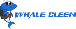 Guangdong Blue Whale Ultrasonic Equipment Co;Ltd