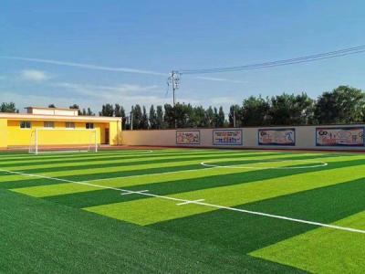 China Sports Futsal Football Field Fake Grass Mat Synthetic Turf 5m x 5m for sale