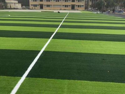 China Evergreen Artificial Sports Synthetic Grass And Landscapes PE Plastic for sale