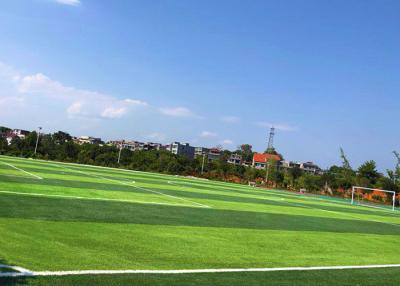 China Monofilament Football Synthetic Grass Turf Playground 9500d 11000d for sale