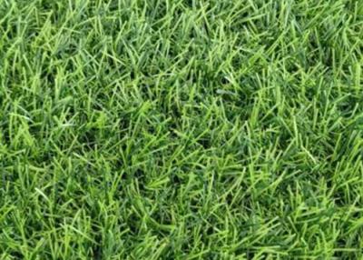 China 45MM Dark Green Artificial Playground Synthetic Grass SGS Approved for sale