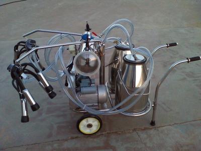 China 280L/Min 50Kpa Cow Milking Machine Mobile With Twin Buckets for sale