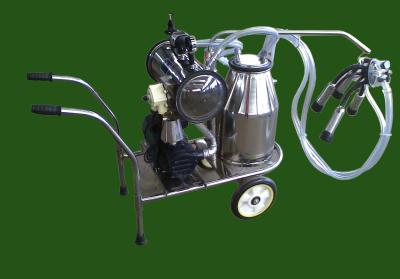 China Single Bucket 12cows/H Cow Milking Machine 50Kpa Electric For Cows for sale