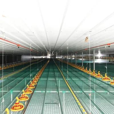 中国 Waterproof Automatic Poultry Farm Equipment Chicken House Feeders Drinkers Complete Set 販売のため