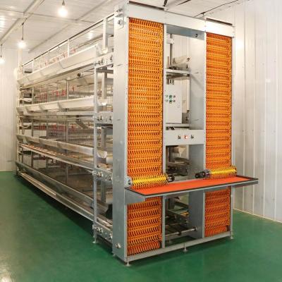 China Q235 Steel Automatic Poultry Farm Equipment Chicken Layer Cages For Laying Hens à venda