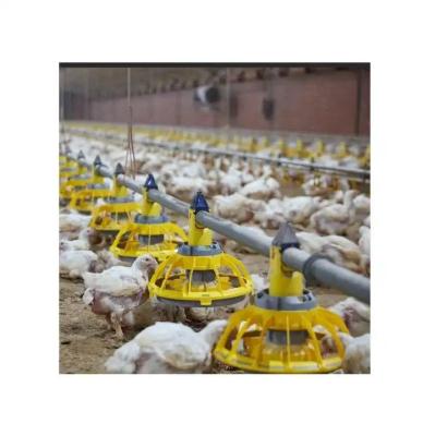 China Environment Control Animal Husbandry / Poultry Farm Equipment Automatic Feeding Chicken zu verkaufen