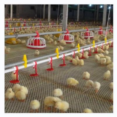 China Chicken Coop Automatic Poultry Farm Equipment With Ventilation System for sale
