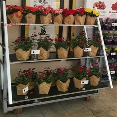 Κίνα Θερμοκηπίων δανικό λουλουδιών δοχείο εγκαταστάσεων καροτσακιών 500kgs μεγάλο στις ρόδες Dia5» προς πώληση
