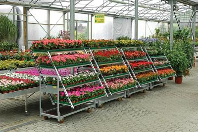 中国 500kgsデンマークの花のトロリー3棚の車輪が付いている屋外の植物のカート 販売のため