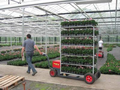 China Steel Wheeled Garden Plant Pot Trolley , 500kgs H1900mm Flower Pot Shelf for sale
