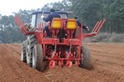 China Ridging Type 0.8ha/h 2 Rows Cassava Planter Machine Chop Length 19cm for sale