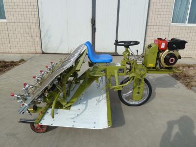 Cina Spazio 300mm Paddy Rice Transplanter Machine di fila 6 file con il motore diesel in vendita