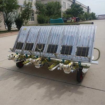 China Agriculture 6 Rows Paddy Transplanter Machine , 300mm Row Space Mini Rice Transplanter for sale