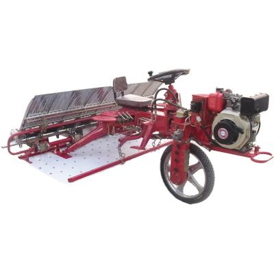 China Double Planting Arm 6 Row Rice Transplanter Machine 300mm Row Space for sale