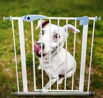 China El perro cerca la puerta de seguridad aislada los perros grandes del perro casero de guardia de puerta de la seguridad del niño en venta