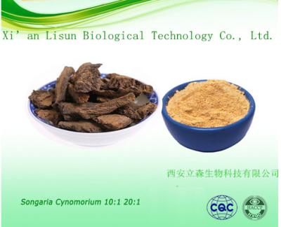 China Songaria Cynomorium Herb Extract for sale