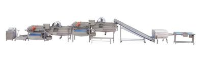 China Vibration Screening Automatic Food Processing Machine For Leafy Vegetables Cabbage for sale