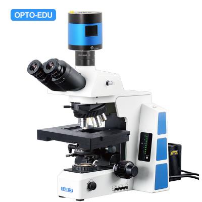 China Opto Edu M12.5850 Biological Motorized Microscope Bf Xyz à venda