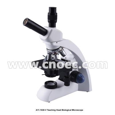 China WF10X/18mm Finity Optical System Biological Microscope  A11.1530 With Double Layer Mechanical Stage for sale