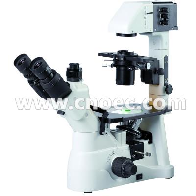 China LED Inverted Fluorescence Microscope with Kohler Illumination A14.0900 for sale