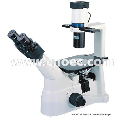 China Infinity Trinocular  Inverted Optical Microscope Microscopes Critical IlluminationA14.0901 for sale