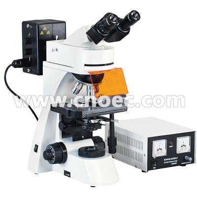 China 100X Wide Field Fluorescence Microscope Trinocular Compound Microscopes A16.0203 for sale