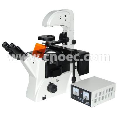 China Laboratory Biology Epi-Fluorescence Microscope 100X - 400X A16.0206 for sale