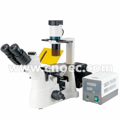 China microscópios invertidos laboratório A16.0901 da lâmpada do halogênio do microscópio de fluorescência 200X à venda