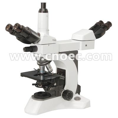 Chine 2 position, microscope multi de visionnement de plan d'infini avec l'illumination A17.1025 de Kohler à vendre