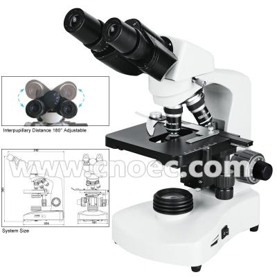 China Halogen Lamp Compound Optical Microscope For High School A12.1005 for sale