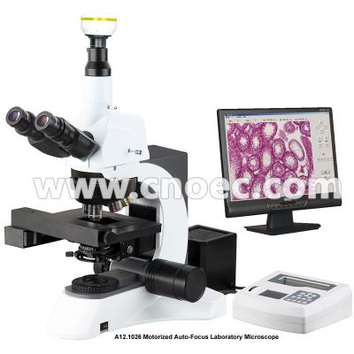 China Trinocular Head Compound Optical Microscope Motorized Auto Focus Microscope A12.1026 for sale