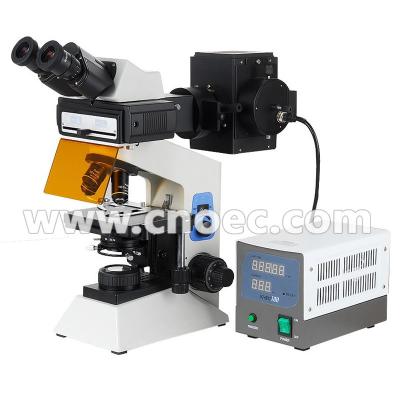 China Trinocular / Binocular Fluorescence Microscope For Laboratory A16.0906 for sale