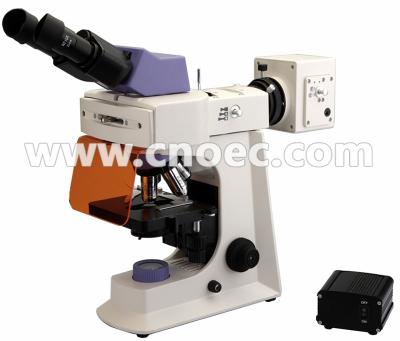 China Achromatic LED Fluorescence Microscope With Blue Filter Rohs A16.2603 for sale