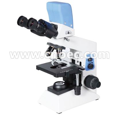 China USB Digital Camera Microscopes LED Fluorescent Microscope CE A31.0906 for sale
