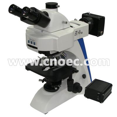 China Led Fluorescent Light Microscopy A16.2601-l With Double Layer Mechanical Stage for sale
