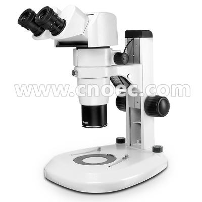 China Zoom Stereo Optical Microscope With Tilting Head , 0.8 - 8x , A23.1005 for sale