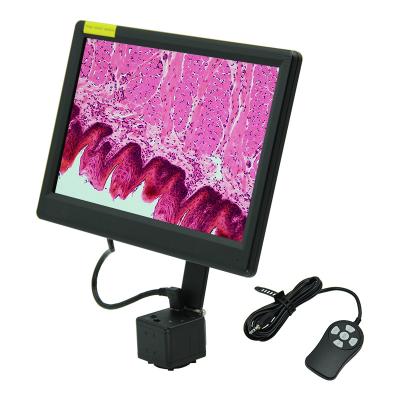 China A59.4951 Microscope Accessories 12.5 Inches Lcd Digital Microscope Camera 1080p for sale