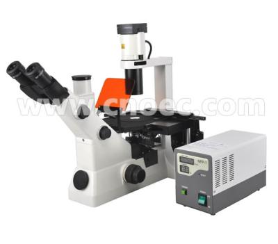 China Microscópios compostos binoculares invertidos 40X da fluorescência - 400X A16.0701 à venda