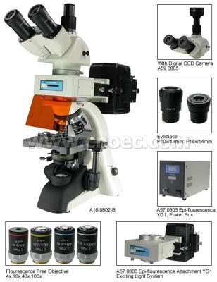 China Fluorescence Trinocular Microscope , 40X - 1600X A16.0802 Compound Microscopes for sale