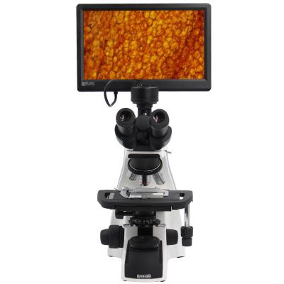 China Microscopio video compuesto biológico/12,5” microscopios de Digitaces de Trinocular Profesional Pantalla Lcd del laboratorio en venta