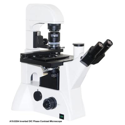 China Trinocular invirtió el microscopio A19.0204 100x - 400x del contraste de la fase de DIC en venta