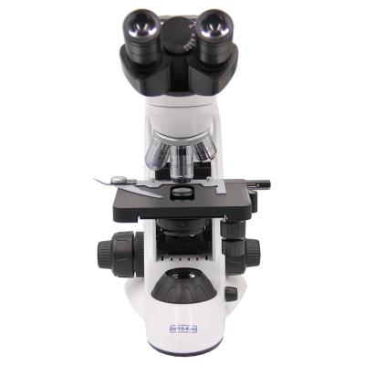 China Student 1000X Compound Optical Microscope Laboratory Capillary Microscope for sale