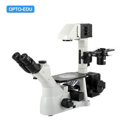 China OPTO-EDU Kohler Illumination Inverted Light Microscope OPTO-EDU A14.0900 for sale