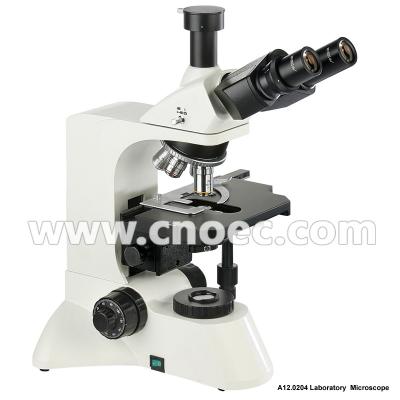 China Infinity Trinocular Biological Microscope 6V 30W Halogen Lamp A12.0204 for sale