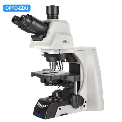 China Led Semi Auto Trinocular Stereo Microscope For Research Scientific Laboratory A12.1093-L for sale