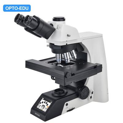 China A pesquisa Full Auto científico motorizou o microscópio biológico binocular opto-Edu A12.1095 à venda