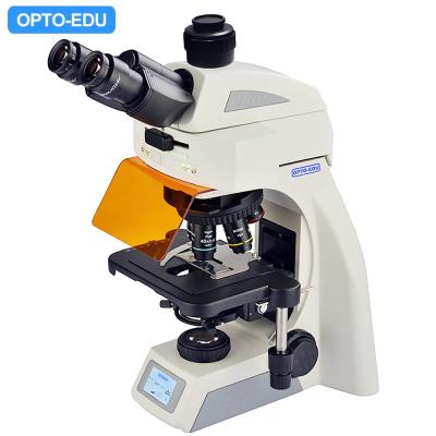 China OPTO EDU A16.1062 Infinity Binocular Trinocular Led Fluorescent Microscope BG for sale