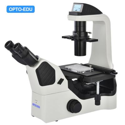 China EDU OPTO A14.1064 inclinou o microscópio de fluorescência do contraste da fase à venda