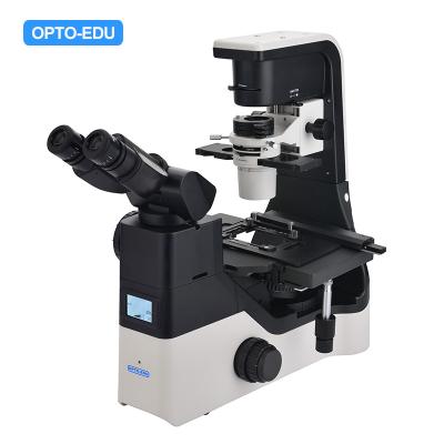 China OPTO EDU A14.1065 Tilting Inverted Phase Contrast Microscope for sale